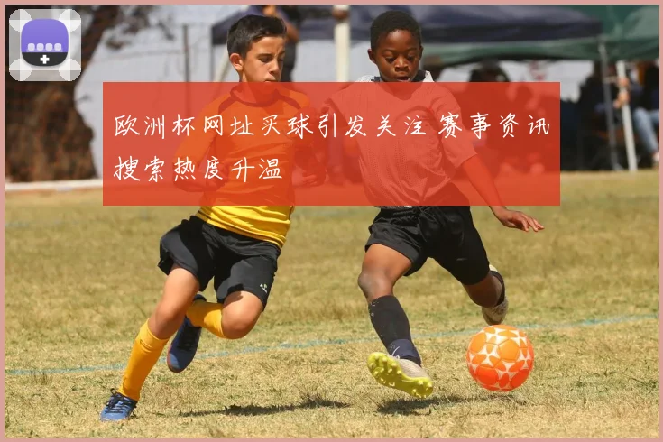欧洲杯网址买球引发关注 赛事资讯搜索热度升温